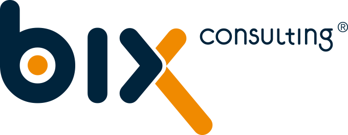 biX Consulting